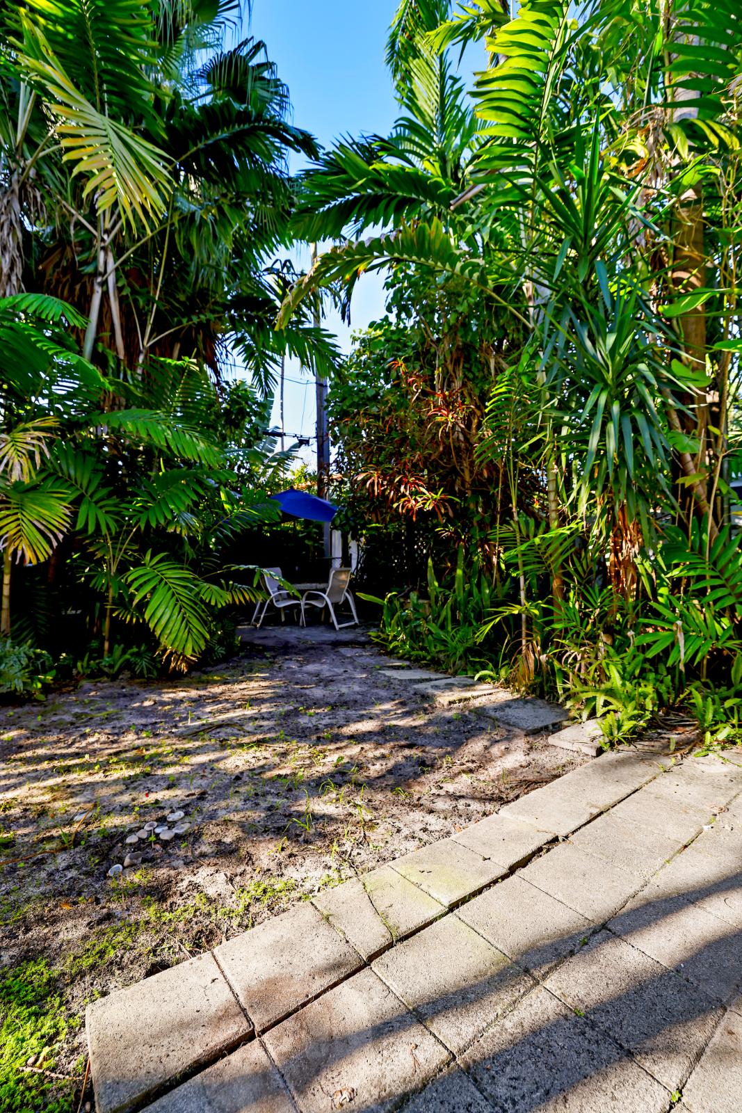Additional tropical foliage detail from the backyard garden